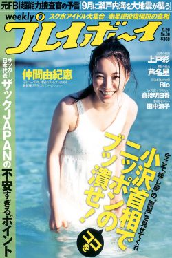 正阳门下剧情介绍